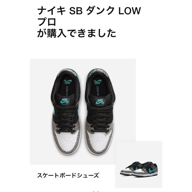 NIKE(ナイキ)のNIKE SB DUNK LOW PRO ELEPHANT  メンズの靴/シューズ(スニーカー)の商品写真