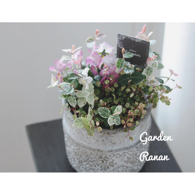 初雪かずらとビオラの可愛い寄せ植え❁お花の贈り物 ハンドメイドのフラワー/ガーデン(プランター)の商品写真