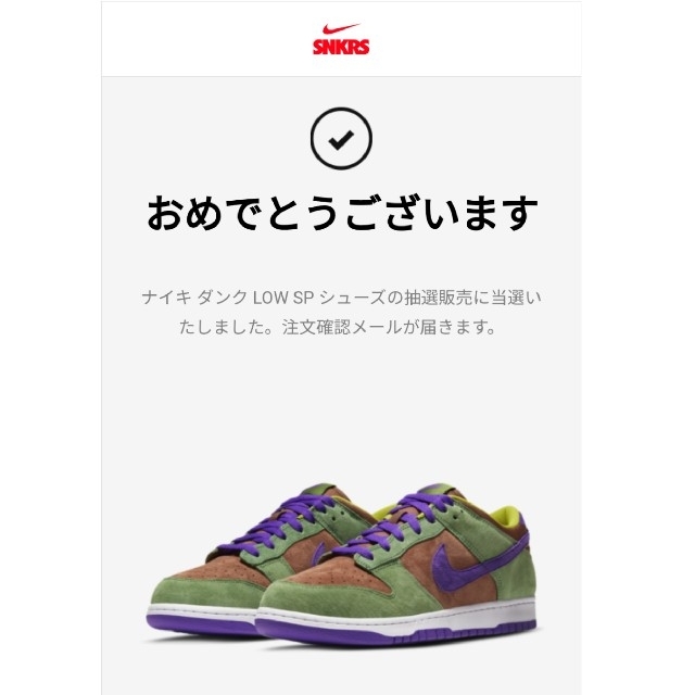 【28cm】NIKE DUNK LOW  VENEER ダンク ベニア