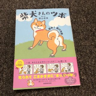 柴犬さんのツボ　進め！親バカ道(住まい/暮らし/子育て)