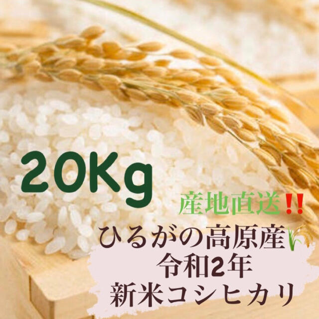 新米コシヒカリ新米コシヒカリ20kg‼︎ひるがの高原産