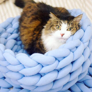 ペットベッド　Ｍサイズ　ブルー　極太糸　北欧スタイル(猫)