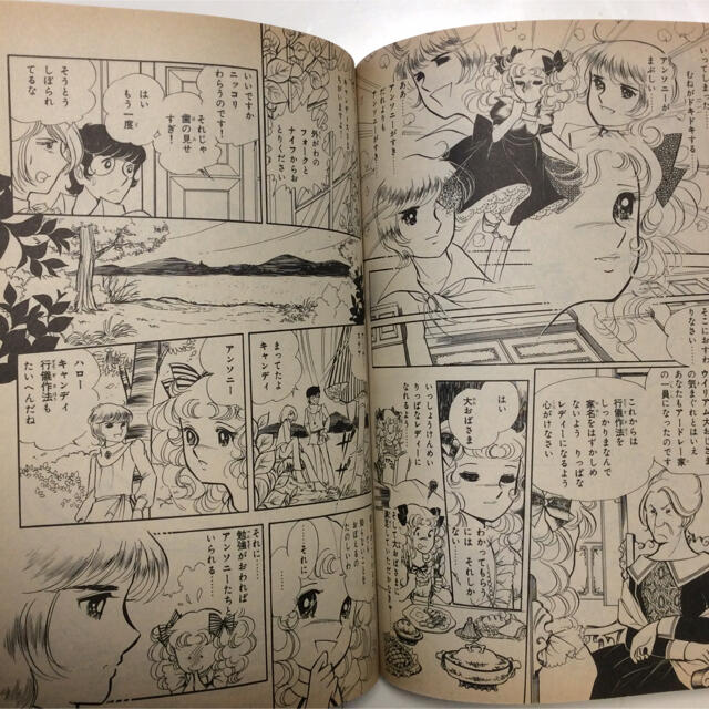 キャンディキャンディ 愛蔵版1、2巻 エンタメ/ホビーの漫画(少女漫画)の商品写真