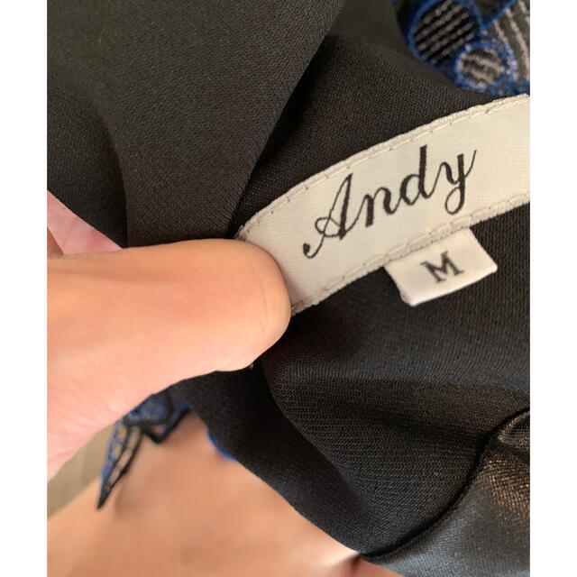 Andy(アンディ)のAndy ミニドレス　サイズM レディースのフォーマル/ドレス(ミニドレス)の商品写真