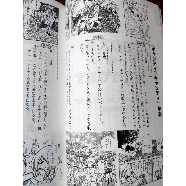 超稀少 キャンディキャンディBOX なつかしいポニーの丘からの 超稀少 キャンディキャンディBOX なつかしいポニーの丘からの