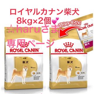 ロイヤルカナン(ROYAL CANIN)の☆haru様専用ページ。⸜(*ˊᵕˋ*)⸝‬(犬)