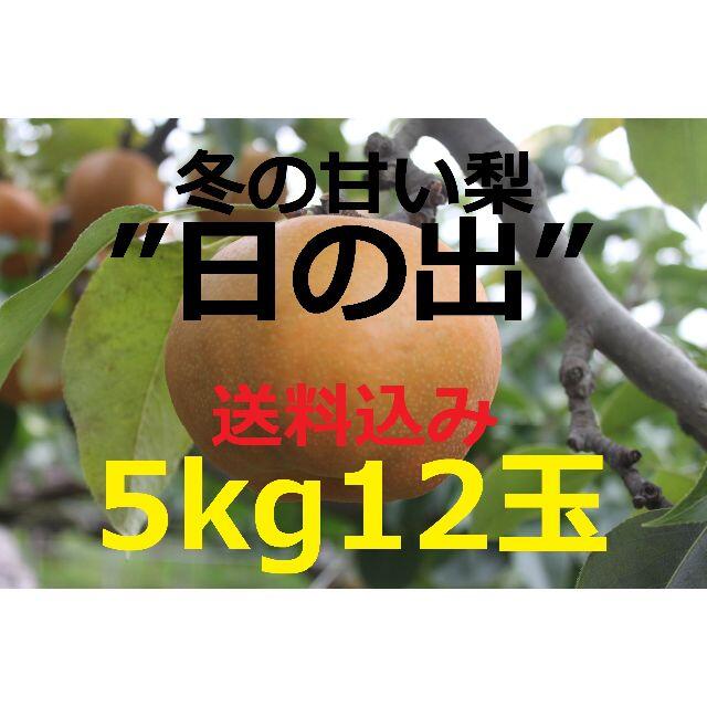【送料込み】梨 日の出 糖度14度以上!! 美味しい果物長野県みなみ信州産地直送