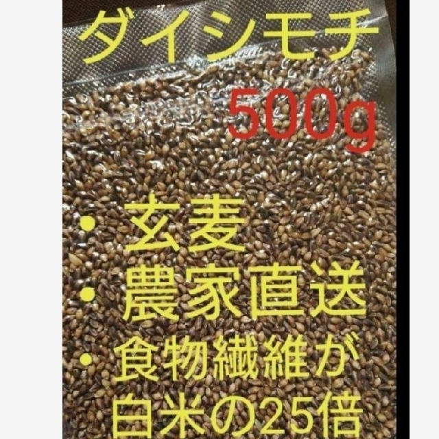 ダイシモチ 玄麦 食品/飲料/酒の食品(米/穀物)の商品写真