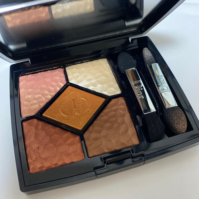 Dior WILD EARTH 696 SIENNA