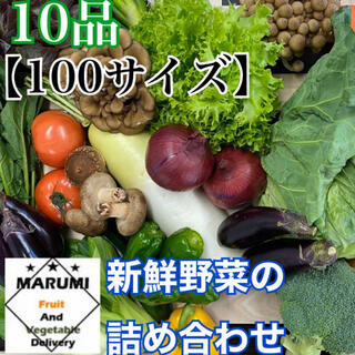 10品　野菜詰め合わせ　野菜セット　八百屋さんおまかせ(野菜)