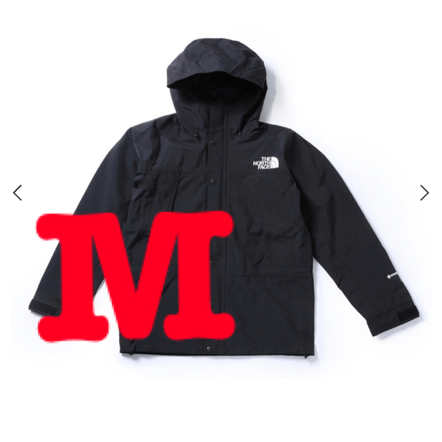 The North Face Mountain Light  Jacket