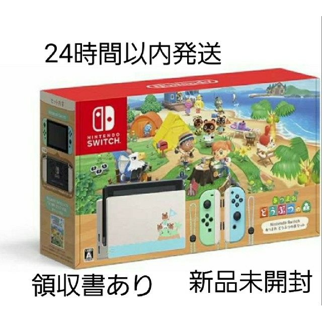 ニンテンドースイッチ　あつまれどうぶつの森セット