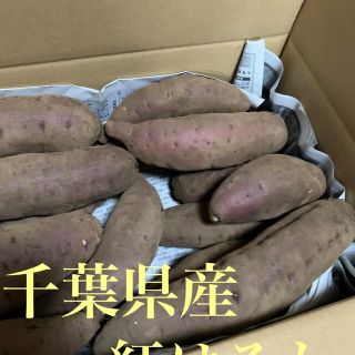 千葉県産サツマイモ　紅はるか5.5キロ(野菜)