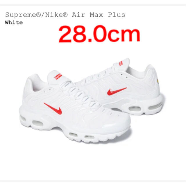 スニーカーSupreme Nike Air Max Plusシュプリーム ナイキ 28cm