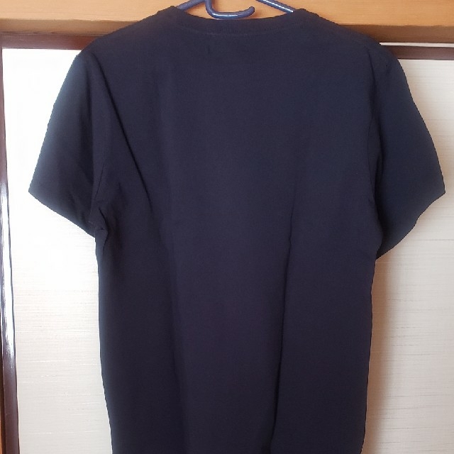 SANYO(サンヨー)の5LAKES&MT　　Tシャツ メンズのトップス(Tシャツ/カットソー(半袖/袖なし))の商品写真