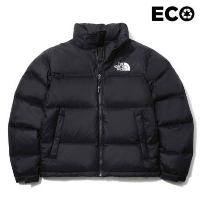 ザノースフェイス 1996 ECO NUPTSE DOWN JACKET