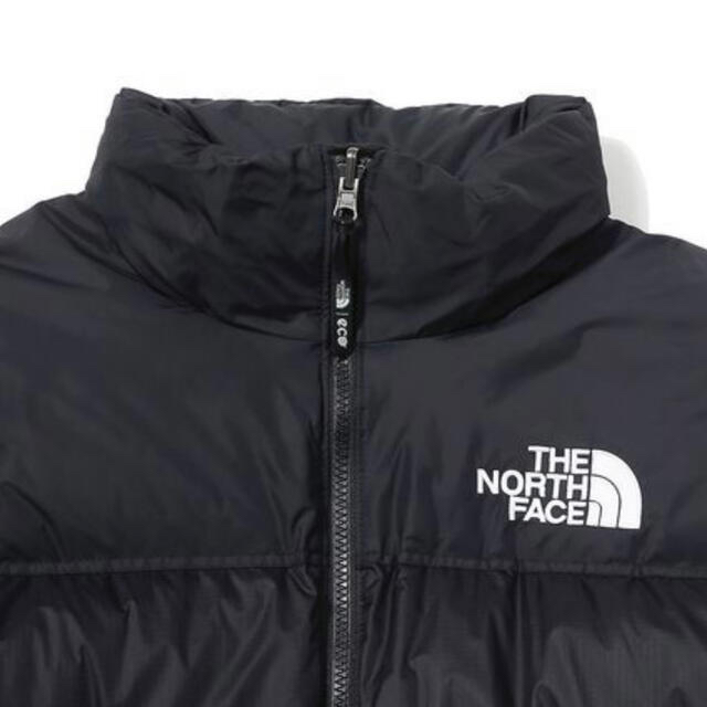 THE NORTH FACE(ザノースフェイス)のザノースフェイス 1996 ECO NUPTSE DOWN JACKET メンズのジャケット/アウター(ダウンジャケット)の商品写真