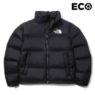 ザノースフェイス(THE NORTH FACE)のザノースフェイス 1996 ECO NUPTSE DOWN JACKET(ダウンジャケット)