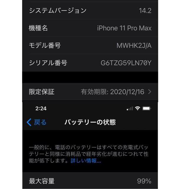 iPhone 11 pro max 256GB SIMフリー　限定保証つき