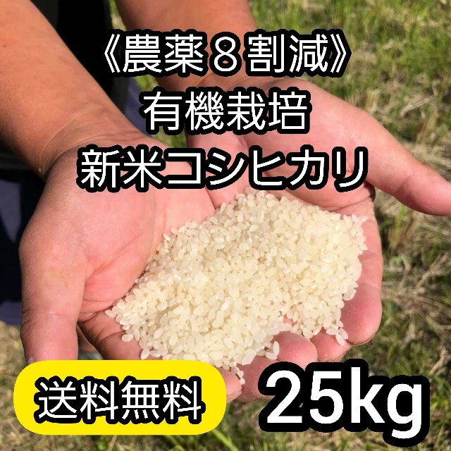 農薬８割減》新米コシヒカリ25kg《100%有機肥料》　米/穀物