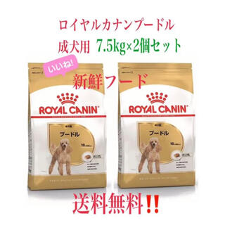 ロイヤルカナン(ROYAL CANIN)のロイヤルカナン　プードル　ドライフード　成犬用(ペットフード)