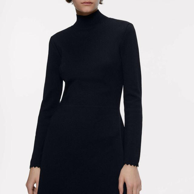 クリスマスローズ ZARA ハイネック ニットワンピース | schmittberger.com