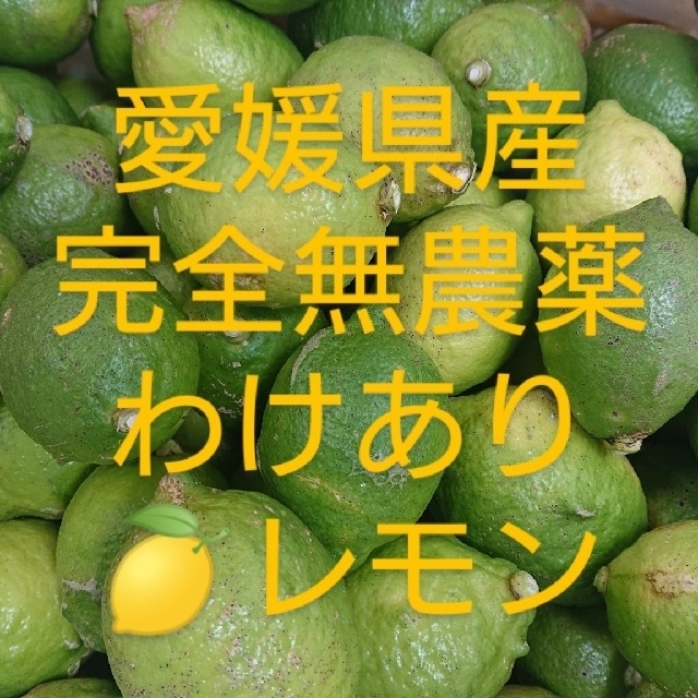 無農薬レモン(わけあり10㎏)レモン