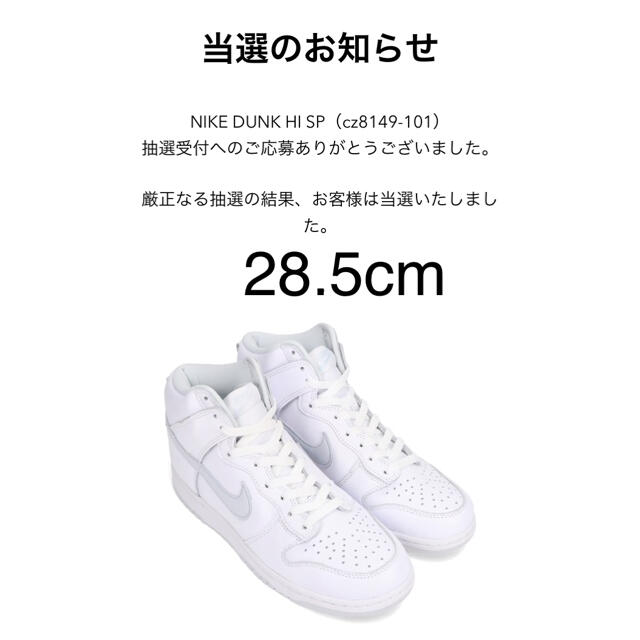 メンズnike dunk hi PURE PLATINUM ダンク 28.5cm