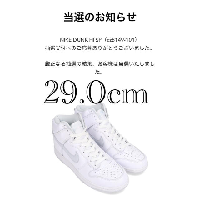 スニーカーnike dunk hi ダンク ハイ PURE PLATINUM 29.0cm