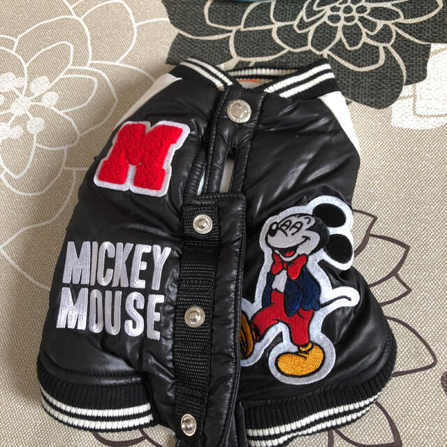 Disney(ディズニー)のペットパラダイス　ミッキーマウス　ジャンパー ハンドメイドのペット(ペット服/アクセサリー)の商品写真