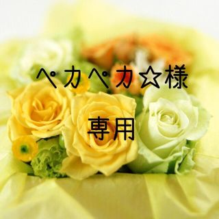 ペカペカ☆様専用　お米　愛媛県産　もち米　ヒノヒカリ(米/穀物)