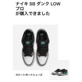 ナイキ(NIKE)のNIKE SB DUNK LOW "ELEPHANT"(スニーカー)