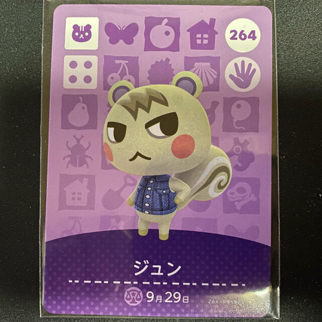 どうぶつの森 amiibo ジュン