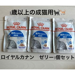 ロイヤルカナン(ROYAL CANIN)のロイヤルカナン　室内で生活する成猫用　ゼリー(猫)