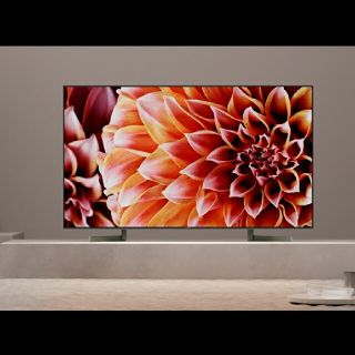 ブラビア(BRAVIA)のSONY65㌅TV&ｽﾋﾟｰｶｰ使用期間1年　定価45万(テレビ)