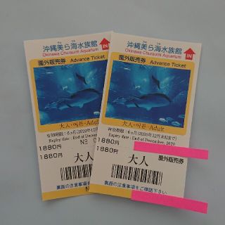 沖縄 美ら海水族館 チケット ペア 大人 ２枚(水族館)