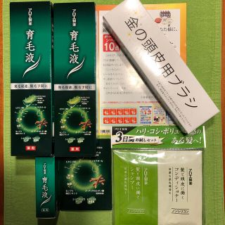 小林製薬 - アロエ育毛液 発毛促進・脱毛予防に！の通販 by ...