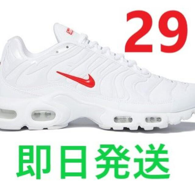 SupremeSupreme Nike Air Max Plus 29cm