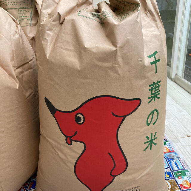 Cam様　専用　コシヒカリ　大阪　送料込み 食品/飲料/酒の食品(米/穀物)の商品写真