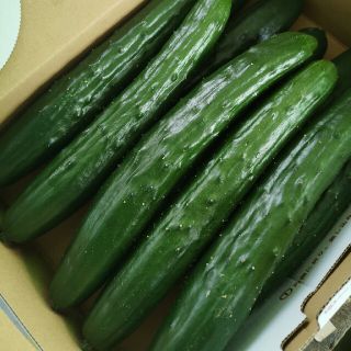 ベジタリアン様専用②(野菜)