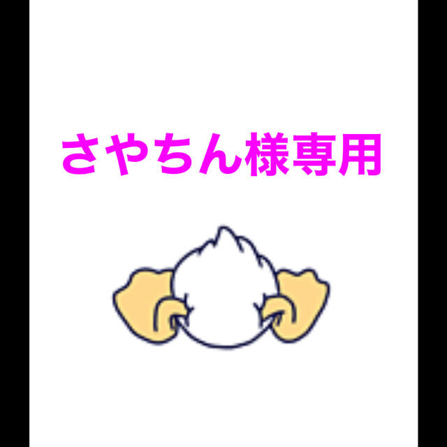 さやちん様専用 www.booknews.today
