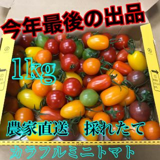 今年もありがとうセール価格！　　　　　　　　1キロ(宅急便コンパクト)(野菜)