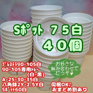 【スリット鉢】Ｓポット丸型75白40個 プレステラ 多肉植物(プランター)