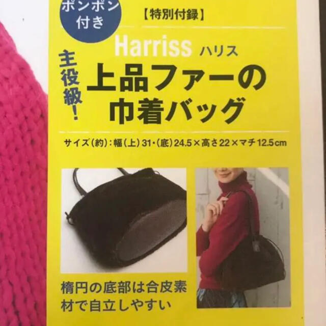 大人のおしゃれ手帖　付録　ファー巾着バック　今だけ特価 レディースのバッグ(ハンドバッグ)の商品写真