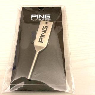 ピン(PING)のグリーンフォークPING(その他)