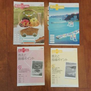 ベネッセ 進研ゼミ小学講座 考える力プラス 3年生 8月 9月 記入なし(語学/参考書)