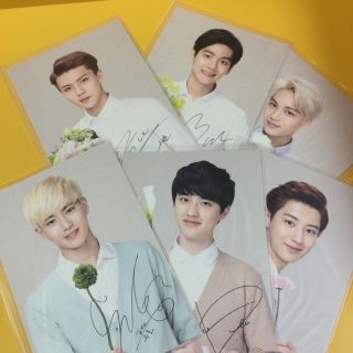 EXO ポストカードセット(アイドルグッズ)