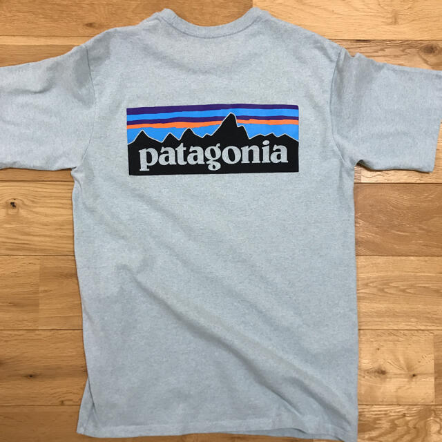 patagonia(パタゴニア)のpatagonia  Tシャツ メンズのトップス(Tシャツ/カットソー(半袖/袖なし))の商品写真