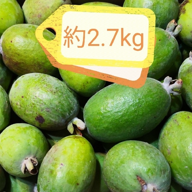 フェイジョア(パイナップルグアバ)キウイのような珍しい果物です 食品/飲料/酒の食品(フルーツ)の商品写真