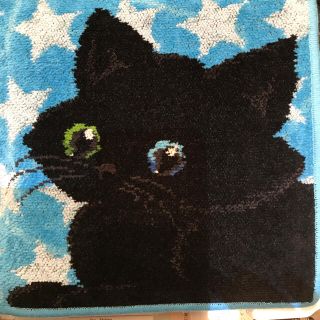 フェイラー(FEILER)のフェイラーハンカチ黒猫(ハンカチ)